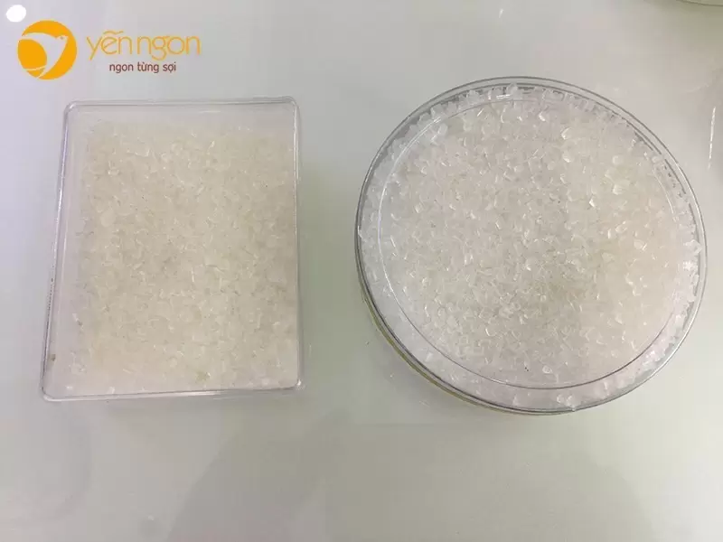 Hộp tròn và hộp vuông đựng đường tặng khách