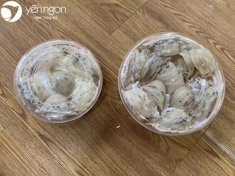 Hộp Đài Loan đựng 50gr và 100gr yến