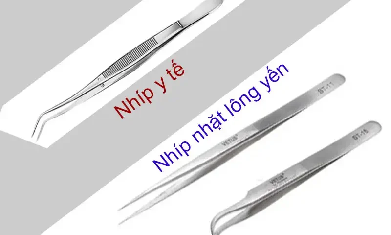 Sự khác biệt của nhíp y tế và nhíp nhặt lông yến chuyên dụng